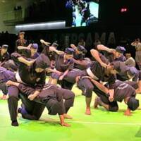 Persekutuan Silat Kebangsaan Malaysia (PESAKA), 2017